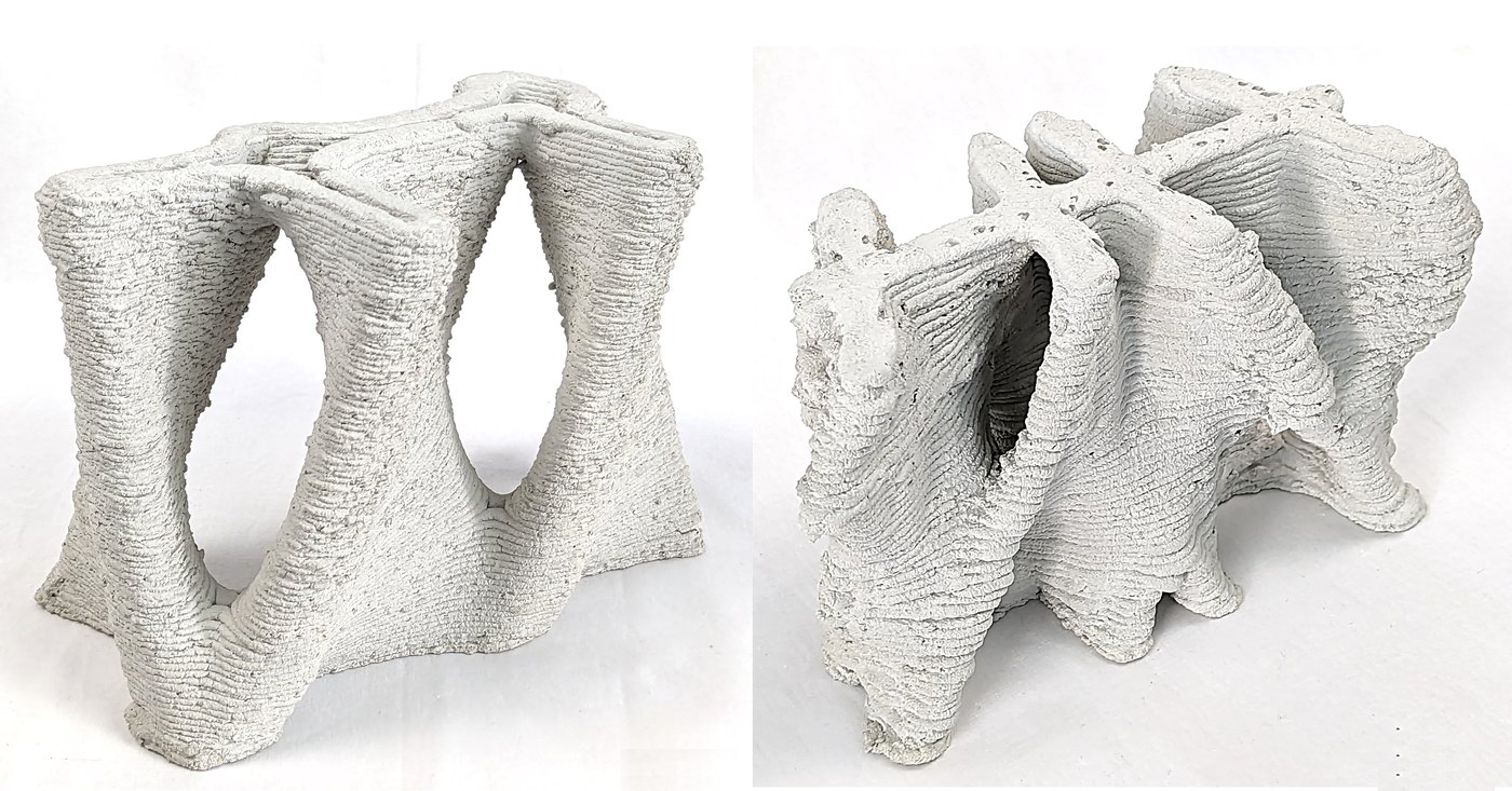 Two 3D-printed Minerava lattice specimens
